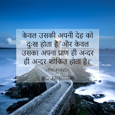 अय्यूब 14:22 बाइबल आयत की व्याख्या