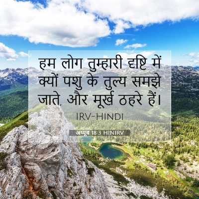 अय्यूब 18:3 बाइबल आयत की व्याख्या