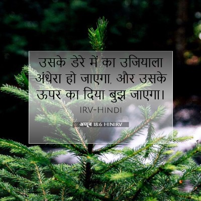 अय्यूब 18:6 बाइबल आयत की व्याख्या