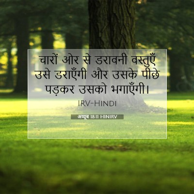 अय्यूब 18:11 बाइबल आयत की व्याख्या