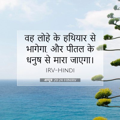 अय्यूब 20:24 बाइबल आयत की व्याख्या