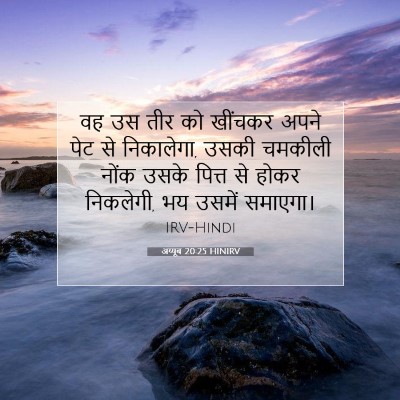 अय्यूब 20:25 बाइबल आयत की व्याख्या