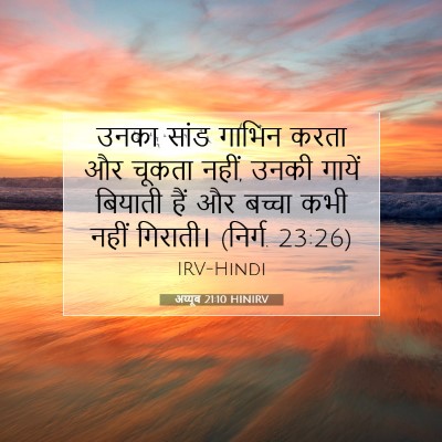 अय्यूब 21:10 बाइबल आयत की व्याख्या
