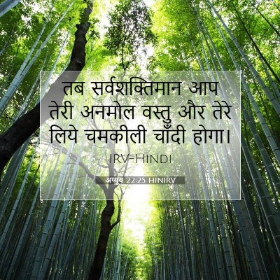 अय्यूब 22:25 बाइबल आयत की व्याख्या