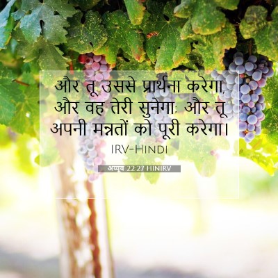 अय्यूब 22:27 बाइबल आयत की व्याख्या