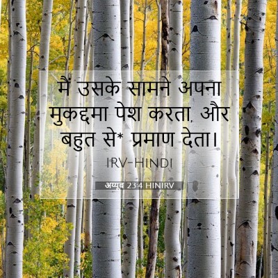 अय्यूब 23:4 बाइबल आयत की व्याख्या