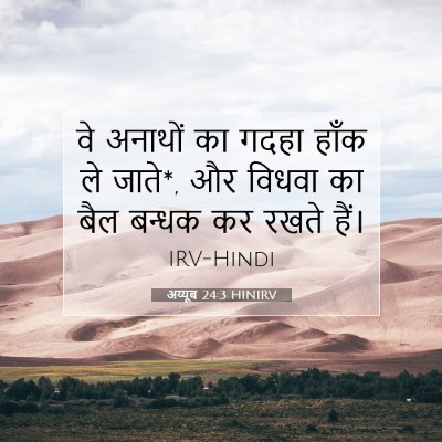 अय्यूब 24:3 बाइबल आयत की व्याख्या