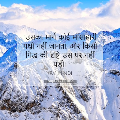 अय्यूब 28:7 बाइबल आयत की व्याख्या