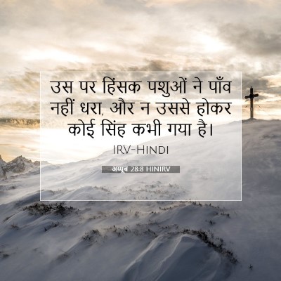 अय्यूब 28:8 बाइबल आयत की व्याख्या