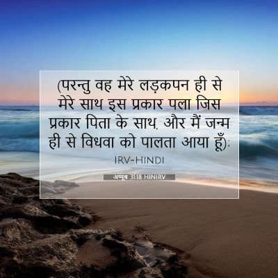 अय्यूब 31:18 बाइबल आयत की व्याख्या