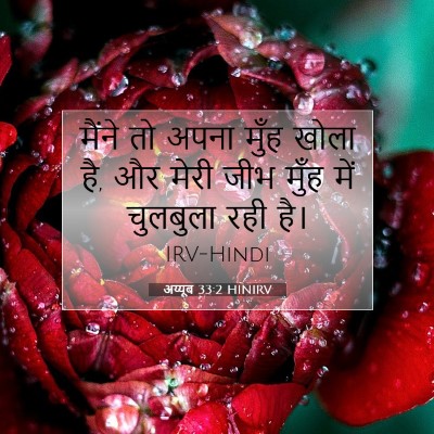अय्यूब 33:2 बाइबल आयत की व्याख्या