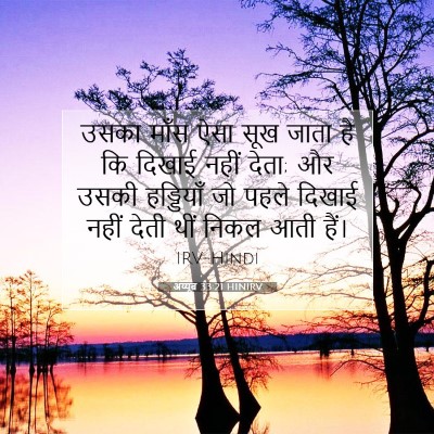 अय्यूब 33:21 बाइबल आयत की व्याख्या