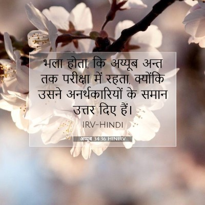 अय्यूब 34:36 बाइबल आयत की व्याख्या