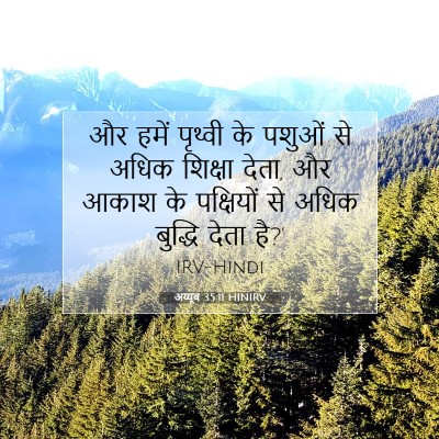 अय्यूब 35:11 बाइबल आयत की व्याख्या