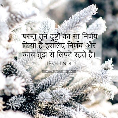 अय्यूब 36:17 बाइबल आयत की व्याख्या