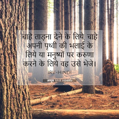 अय्यूब 37:13 बाइबल आयत की व्याख्या