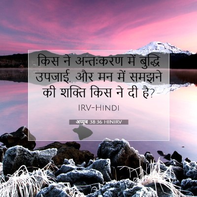 अय्यूब 38:36 बाइबल आयत की व्याख्या