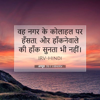 अय्यूब 39:7 बाइबल आयत की व्याख्या