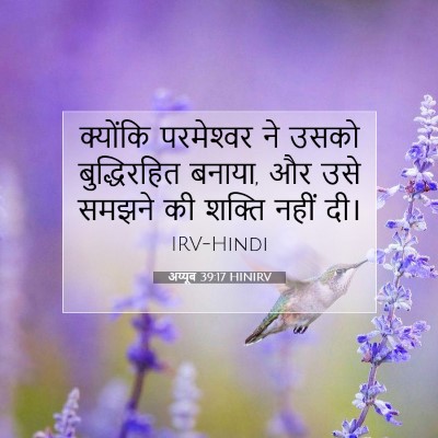 अय्यूब 39:17 बाइबल आयत की व्याख्या