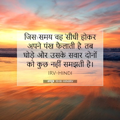अय्यूब 39:18 बाइबल आयत की व्याख्या