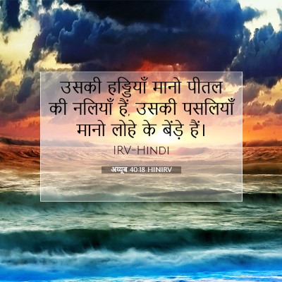 अय्यूब 40:18 बाइबल आयत की व्याख्या