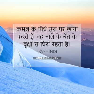 अय्यूब 40:22 बाइबल आयत की व्याख्या