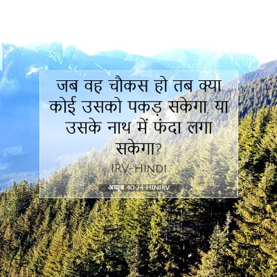 अय्यूब 40:24 बाइबल आयत की व्याख्या