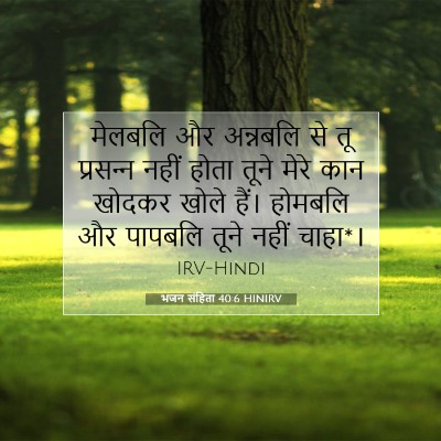 भजन संहिता 40:6 HINIRV बाइबल आयत इमेज