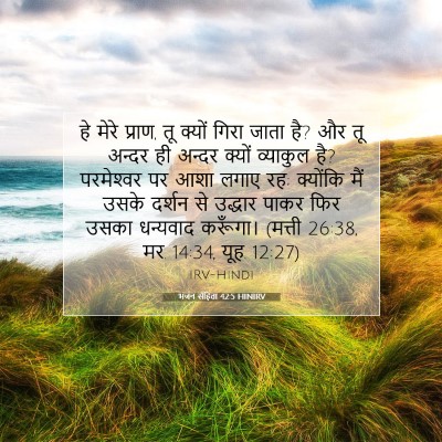भजन संहिता 42:5 HINIRV बाइबल आयत इमेज