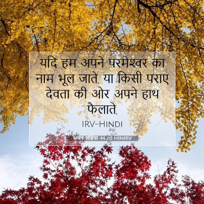 भजन संहिता 44:20 HINIRV बाइबल आयत इमेज