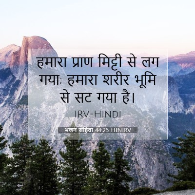भजन संहिता 44:25 HINIRV बाइबल आयत इमेज