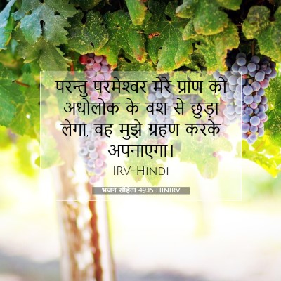 भजन संहिता 49:15 HINIRV बाइबल आयत इमेज