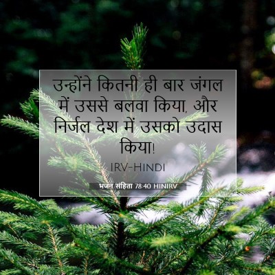 भजन संहिता 78:40 HINIRV बाइबल आयत इमेज