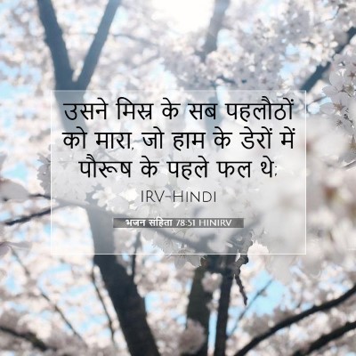 भजन संहिता 78:51 HINIRV बाइबल आयत इमेज