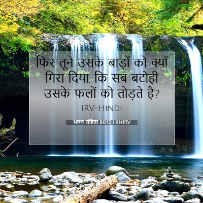 भजन संहिता 80:12 HINIRV बाइबल आयत इमेज