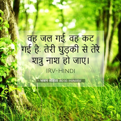 भजन संहिता 80:16 HINIRV बाइबल आयत इमेज