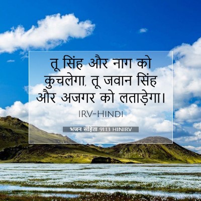 भजन संहिता 91:13 HINIRV बाइबल आयत इमेज