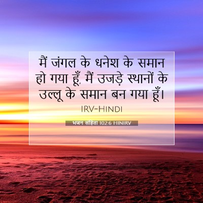 भजन संहिता 102:6 HINIRV बाइबल आयत इमेज