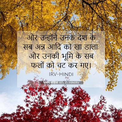 भजन संहिता 105:35 बाइबल आयत की व्याख्या