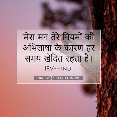 भजन संहिता 119:20 HINIRV बाइबल आयत इमेज