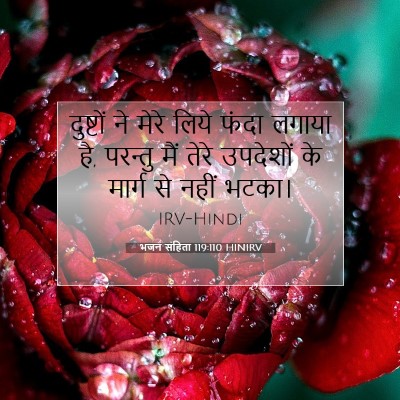 भजन संहिता 119:110 HINIRV बाइबल आयत इमेज
