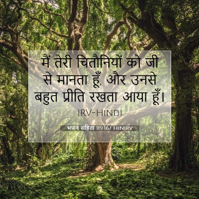 भजन संहिता 119:167 HINIRV बाइबल आयत इमेज