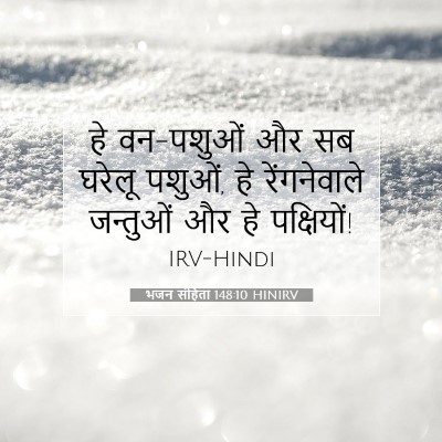 भजन संहिता 148:10 बाइबल आयत की व्याख्या