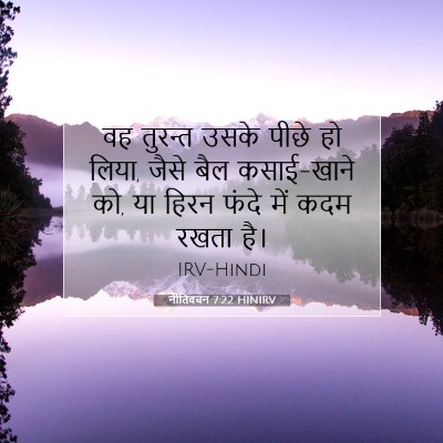 नीतिवचन 7:22 बाइबल आयत की व्याख्या