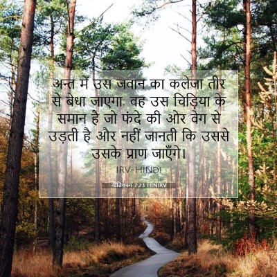 नीतिवचन 7:23 बाइबल आयत की व्याख्या