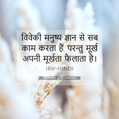 नीतिवचन 13:16 बाइबल आयत की व्याख्या