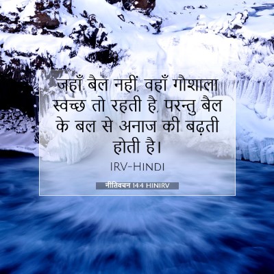 नीतिवचन 14:4 बाइबल आयत की व्याख्या