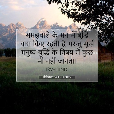 नीतिवचन 14:33 बाइबल आयत की व्याख्या