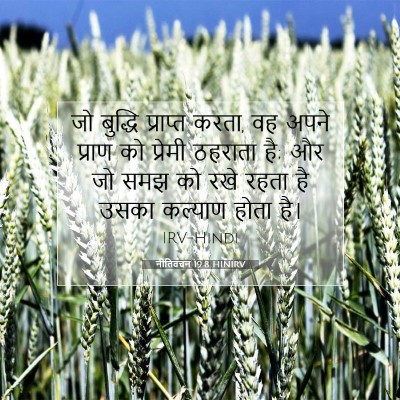 नीतिवचन 19:8 बाइबल आयत की व्याख्या