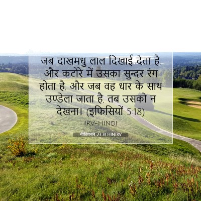 नीतिवचन 23:31 बाइबल आयत की व्याख्या